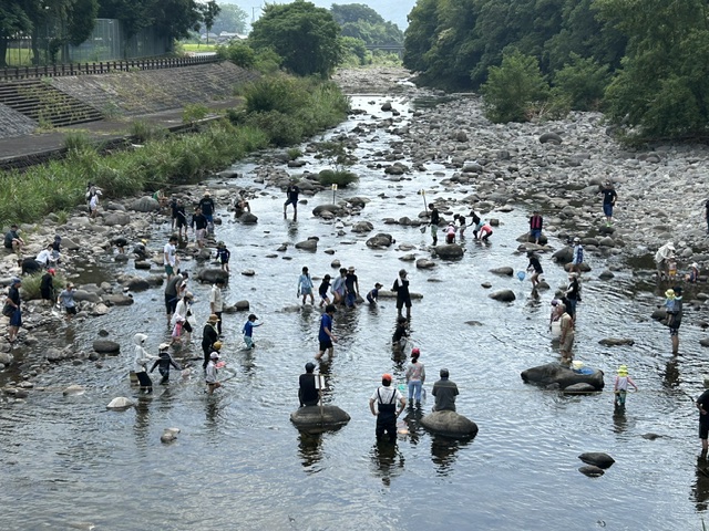 chikawa_r8_1
