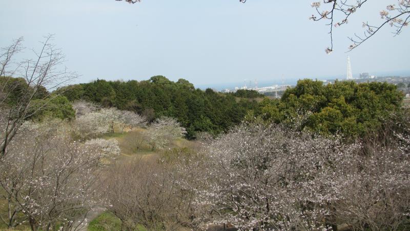 桜谷・見下ろし