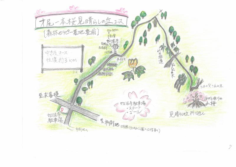 歳尾の一本桜見晴らしの丘コース