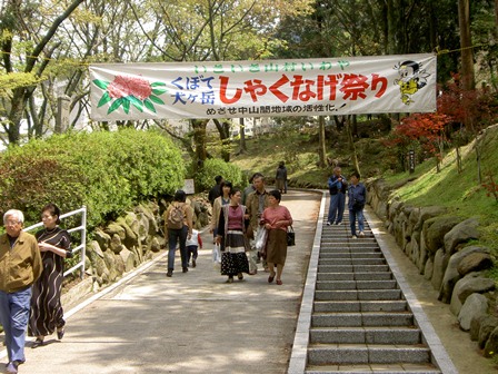 しゃくなげ祭り