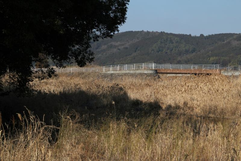 岩岳川の河川公園4_3