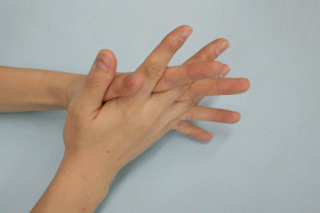 ステップ5の写真