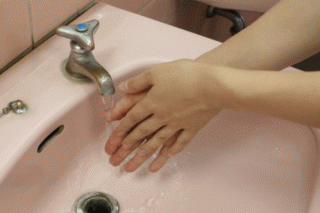 ステップ6の写真