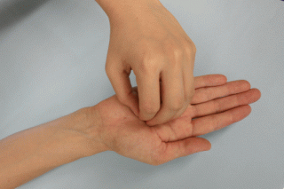 ステップ3の写真