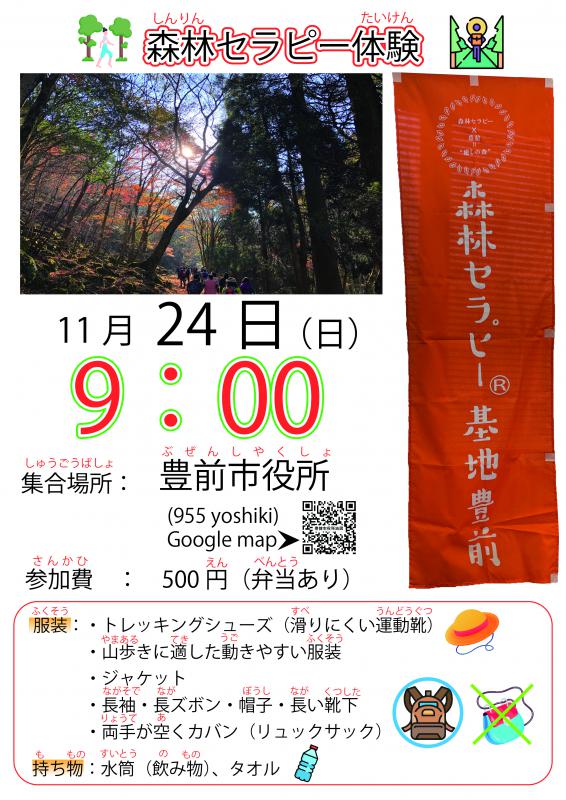 森林2
