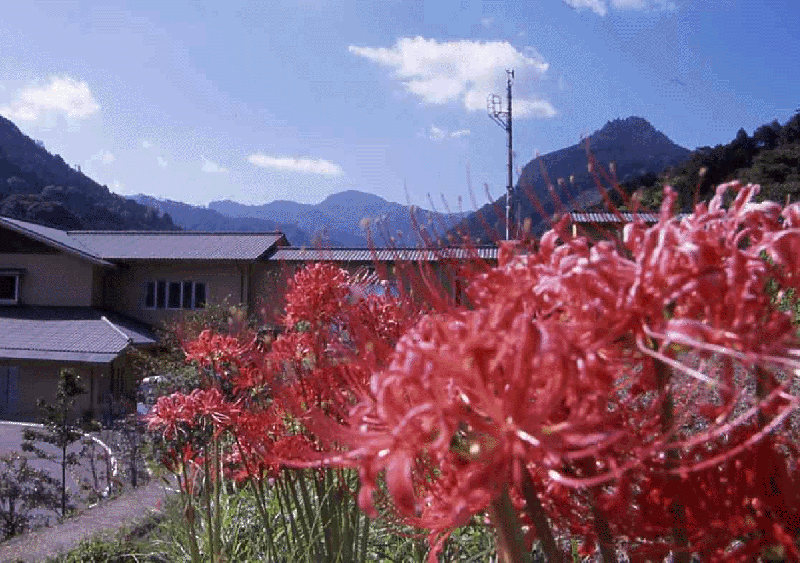 主要山岳の写真