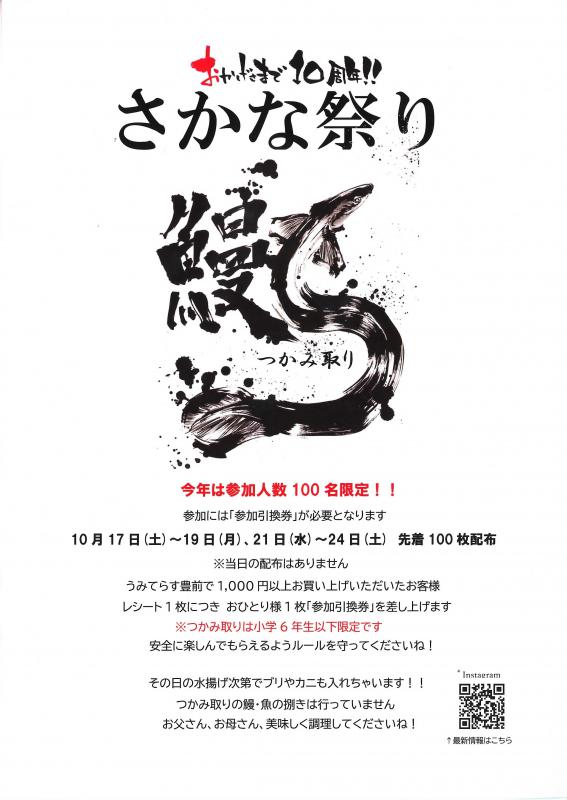 チラシ裏面