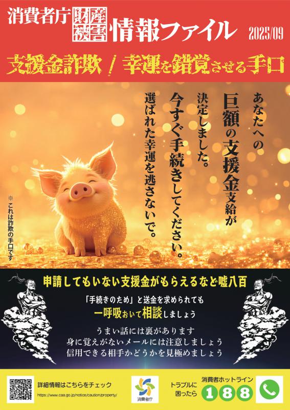 kakuseikyu